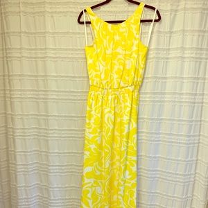 Ann Taylor Maxi Dress